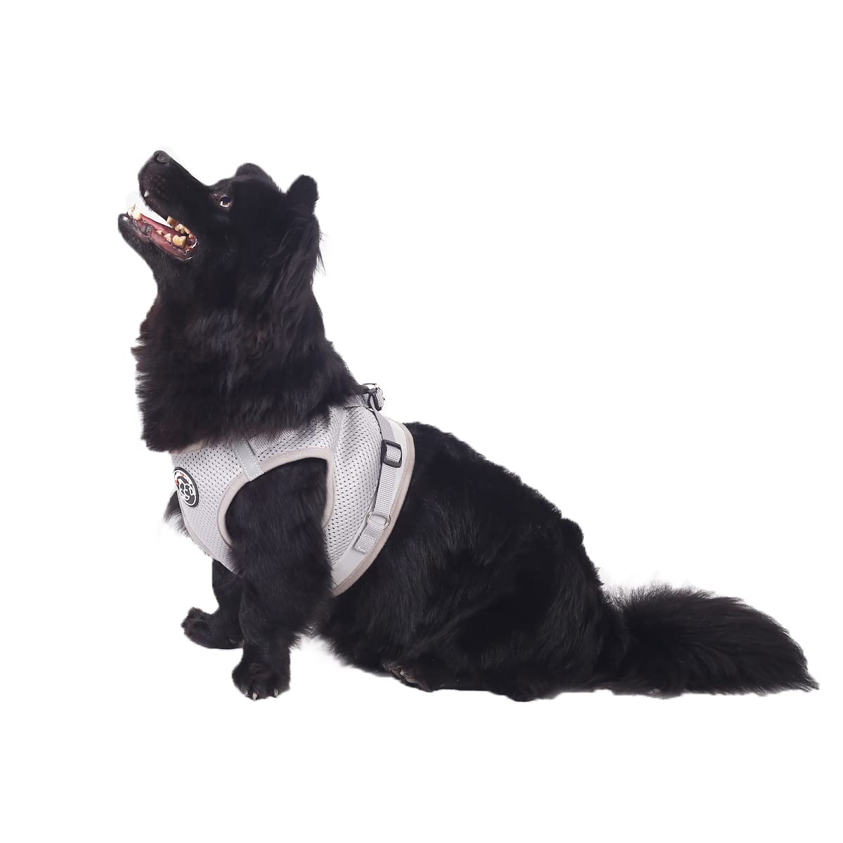 Dog Harness Set with Lead Dog & Cat Small Soft Vest Adjustable Safe Control Puppy Harness Vest & Reflective Stripes Adjustable Harness (XL, Grey)