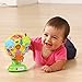 VTech Lil' Critters Spin and Discover Ferris Wheel (Frustration Free Packaging)