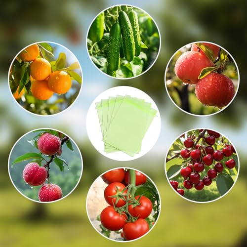 Pack of 100 Protective Bags for Grapes, 20 x 30 cm Drawstring Bag to Protect Fruit, Green Fruit, Protects Against Wasps, Fruit Flies, Birds and Other Insects