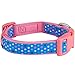 Blueberry Pet 6 Patterns Multicolor Polka Dot Neoprene Padded Adjustable Dog Collar in Brink Pink, Large, Neck 18