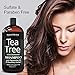 Natural Riches Tea Tree Shampoo 16 fl oz - Special Tea Tree Oil Shampoo Fights Dandruff with Pure Tea Tree Oil for Dry Hair, Itchy Scalp, lice, with Pure Lavender, Peppermint, Sulfate & Paraben Free