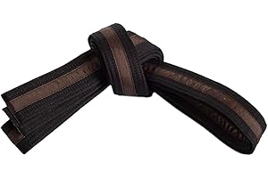 MASTERY MARTIAL ARTS Mastery Apprentice