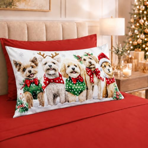 PETTI Italian Artisans - Cotton Sheets with Christmas Digital Print Pillowcases, Christmas Double Sheets, Christmas Double Bed Set, Xmas 9 Red, 100% Made in Italy