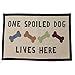 PetRageous 12048 One Spoiled Dog Jumbo Tapestry Non-Skid Machine Washable Placemat for Pet Feeding Areas with Rubber Backing 18-Inch by 28-Inch for Dogs, Black and Off-White