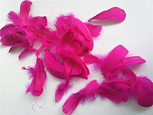 Mmiao 100Pcs Soft Feather, Great Decor for BOBO Balloons (Hot Pink Feather)