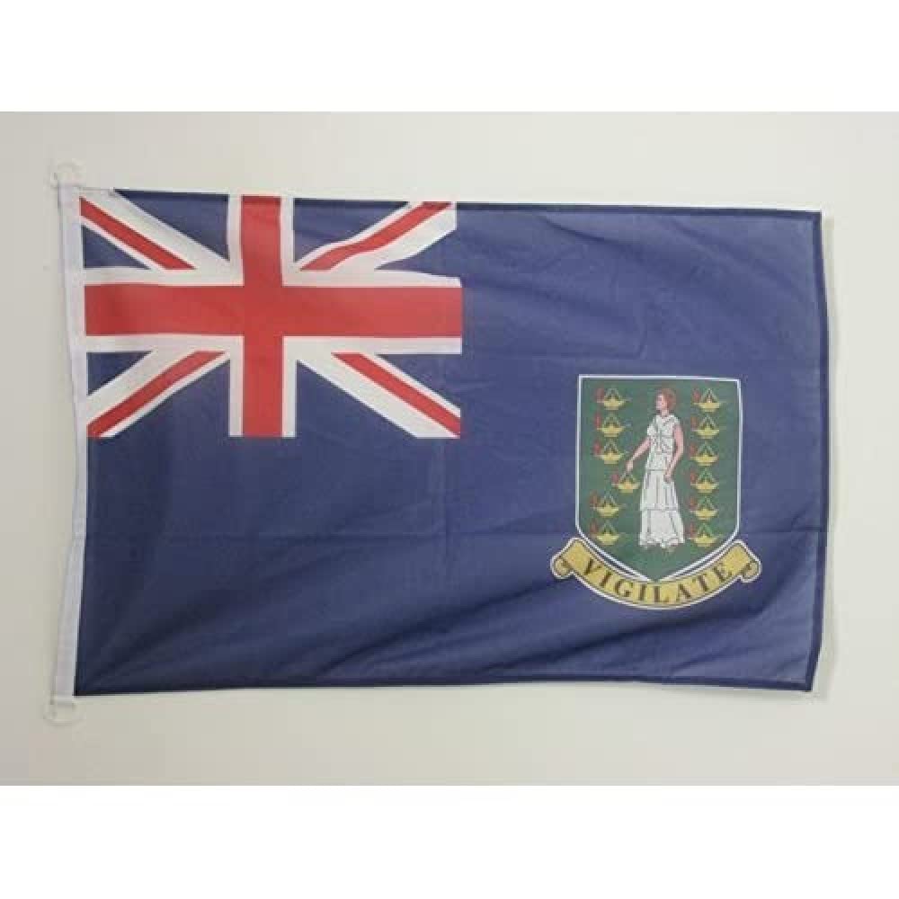 AZ FLAG - British Virgin Islands Flag - 2x3 Ft - For Outdoor - Virgin Islander Banner Knitted Polyester with Two Plastic Rings - Fade Resistant - Vivid Colors - 2' x 3' Feet - 90x60 Cm