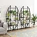 Tribesigns 5-Tier Plant Stand Pack of 2, Multi-Purpose Curved Display Shelf Bonsai Flower Plant Stand Rack for Garden, Patio, or Balcony, Indoor and Outdoor Usethumb 3
