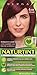 Naturtint Permanent Hair Color 6.66 Fireland Red (Pack of 6), Ammonia Free, Vegan, Cruelty Free, up to 100% Gray Coverage, Long Lasting Results