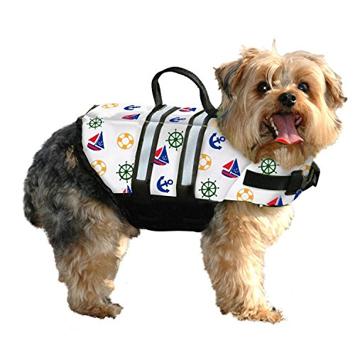 Dog Bathing Suits and Bikinis