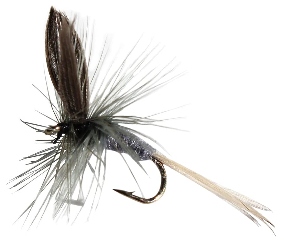 Flies Direct Blue Dun Assortment Trout Fishing Flies (1-Dozen)