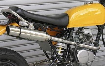 Amazon ウイルズウィン Wiruswin エイプ50 ロイヤルマフラー ポッパータイプ インジェクション車 フルエキゾースト 車 バイク