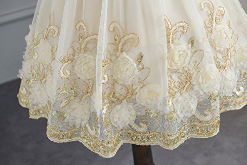 Ruffles Lace Bow Flower Tulle Princess Formal Wedding Birthday Party Dress for Toddler Baby Girl (3-4 Years, Champagne 3D) - Thumbnail 3