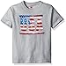 Hanes Boys' Big Short Sleeve Graphic T-Shirt, Light Steel USA, X-Large