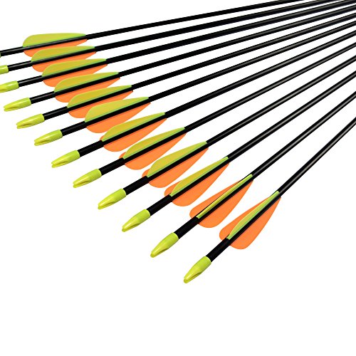 NIKA ARCHERY Fiberglass Arrows for Youth Practise Recurvebow Compound Bow Shooting 12X 24 inch