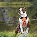 Big Dog Harness No Pull Adjustable Pet Reflective Oxford Soft Vest for Large Dogs Easy Control Harness (L, Orange)