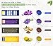 Yeelen Hair Removal Kit Hot Wax Warmer Waxing Kit Wax Melts with 4 Flavors Hard Wax Beans（14.1oz ） and 10 Wax Applicator Sticks for Painless Wax of Legs, Face, Body, Bikini Area