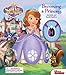 Disney Sofia the First: Becoming a Princess: Storybook and Amulet Necklace (1) (Storybook with Jewelry)