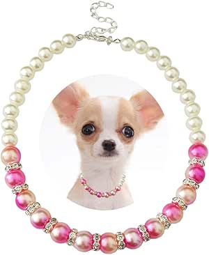 the loaded dog in telugu