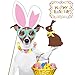 [USA-Sales] Easter Photo Props, Birthday Photo Booth Props, NO DIY Required, Attached to The Sticks, by USA Sales Seller