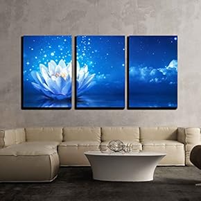 3 Piece Canvas Wall Art - Lotus Flower Floating on Water by Moonlight - Modern Home Art Stretched and Framed Ready to Hang - 16"x24"x3 Panels