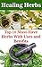Healing Herbs: Top 10 Must-Have Herbs With Uses and Benifits: (Herbalism,Herbs for health and healing,Herbs for healing, Medicinal Herbs)