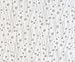 SheetWorld Fitted 100% Cotton Percale Play Yard Sheet Fits BabyBjorn Travel Crib Light 24 x 42, Grey Floral Stems, Made in USA