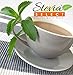 Stevia Select Caramel Flavored Liquid Stevia – Zero Calorie Coffee, Tea, Drink & Baking Sweetener, All-Natural, No Erythritol, Keto-Friendly Sugar Alternative, 300 Servings – 2 Oz