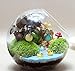 Mkono Plant Terrarium Display Glass Tabletop Succulent Air Plant Planter Globe Microlandschaft House, S