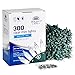 Holiday Joy - 300 Count Clear White Green Wire Christmas Tree String Lights - Indoor/Outdoor (300 Clear White - Green Wire)
