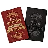 Harry Potter: Character Notebook Collection (Set of 2): Harry Potter and Voldemort by 