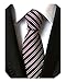 Secdtie Men's Narrow Stripe Pattern Tie Navy Blue Red White Party Necktie TW06
