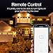 Smart Wifi Plug Work with Alexa Google Home IFTTT, Gosund 16A Smart Outlet Mini Socket with Overload Protection, Reliable Wifi Connection No Hub Required, 2 pack
