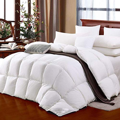 SHEONE All Seasons Lightweight White Goose Down Comforter-650 Fill Power-100% Cotton Shell Down Proof-Solid White Hypo-allergenic Duvet Insert With Tabs (Queen)