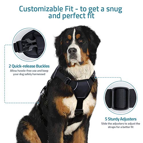 rabbitgoo Escape Proof Dog Harness, Soft Padded Full Body Pet Harness