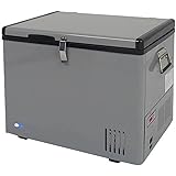 Whynter FM-45G 45-Quart Portable Refrigerator/Freezer, Platinum