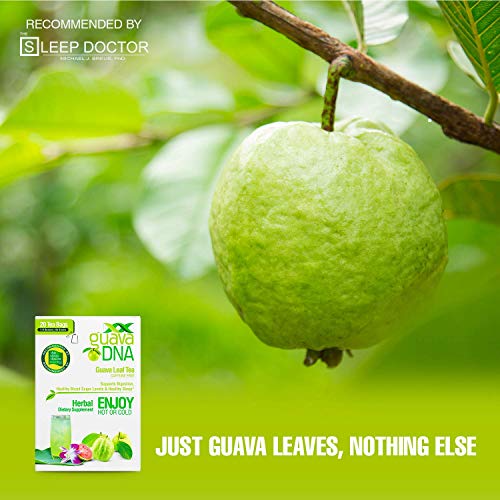 image for MatchaDNA GuavaDNA Guava Leaf Tea 20 Individually Wrapped Teabags | 10