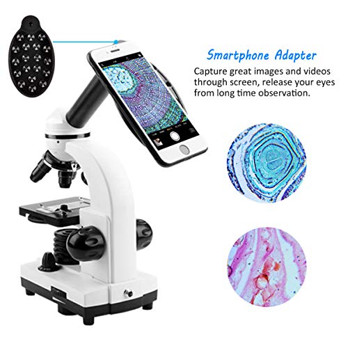 GazerOptics Science Microscope Kit for Kids Students with Prepared Specimen Slides and Smartphone Adapter, 40x-1280x Magnification - A Real Scientific Tool for STEM Learning