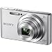 Sony Cyber-Shot DSC-W830 Digital Camera (Silver) with 32GB Card + Case + Battery & Charger + Flex Tripod + Accessory Kitthumb 1