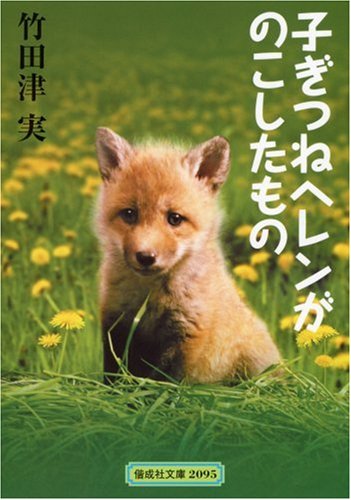 子ぎつねヘレンがのこしたもの 偕成社文庫 竹田津 実 岩本 久則 本 通販 Amazon 子ぎつねヘレンがのこしたもの 偕成社文庫 竹田津 実 岩本 久則 本 通販 Amazon