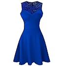 Heloise Fashion Women's A-Line Pleated Sleeveless Little Cocktail Party Dress with Floral Lace