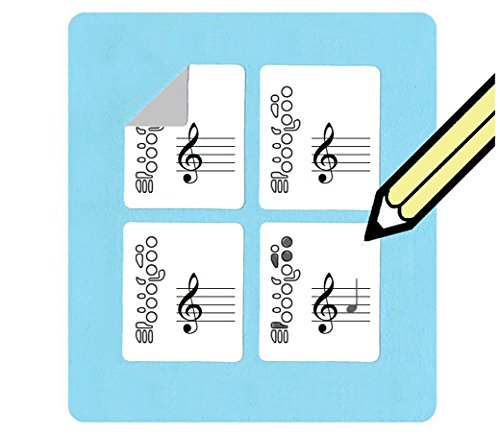 Flute Fingering and Staff Stickers (120 handy stickers) Great for beginners and teachers!