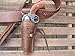 Shotgun Lilli Gun belt with Left Handed Tooled Holster Combo - 45 Caliber - Leather - Brown