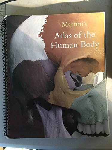 Atlas of Human Anatomy [Jan 01, 2015] VIGUE, JORDI: Vigue, Jordi