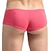 Sozixi Men's Sexy Underwear Boxer Briefs With Sheath Rose, US L / Tag XL