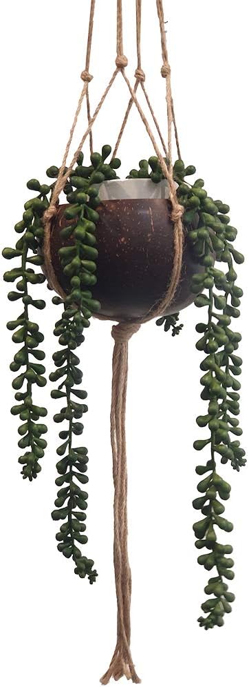 VIE Naturals Beautiful Coconut Shell Pot Holder, with a Sturdy Jute Macrame Style Hanging Rope, Brown, One - Image 4