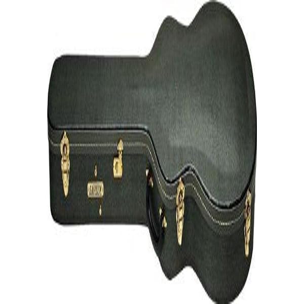Amazon.com: Gretsch Jet Bass and Baritone Guitar Case