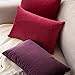 MIULEE Velvet Pillow Cover Soft Luxury Decorative Throw Pillow Cover Single Rectangle Cushion Case for Couch Sofa Bedroom Car Decor,12x20 Inch Eggplant Purple