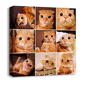 Canvas Wall Art Animals Plants Collage Ideas Home Wall Decorations for Bedroom Living Room Oil Paintings Canvas Prints Framed - 12x12 inches