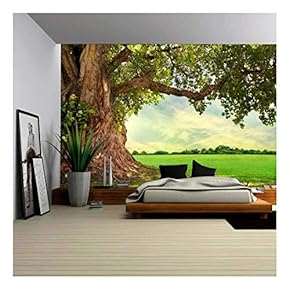 Spring Meadow with Big Tree with Fresh Green Leaves