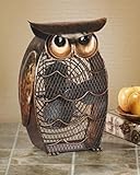 DecoBREEZE Decorative Table Fan, Desk Fan, Two Speed Electric Tabletop Fan, Figurine Fan, 7 inch, Owl